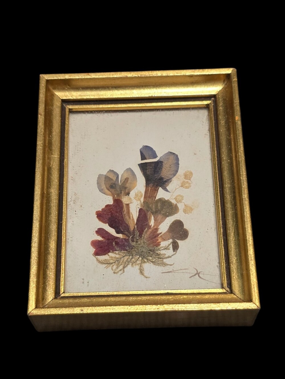 Vintage | Gold Tone Framed Botanical Pressed Flower Art